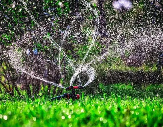 Irrigation System
